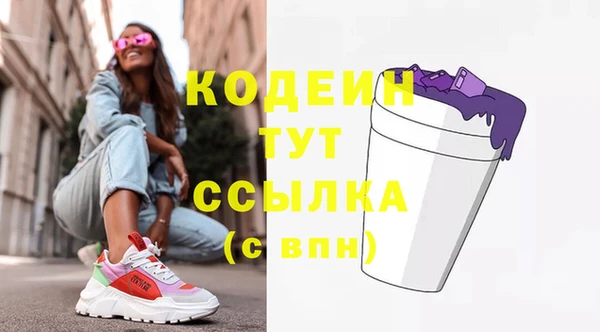 соль ск Арсеньев