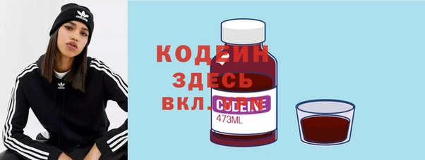 соль ск Арсеньев