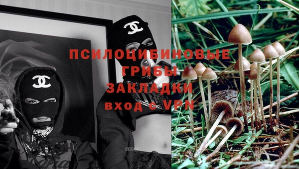 крисы Заволжск